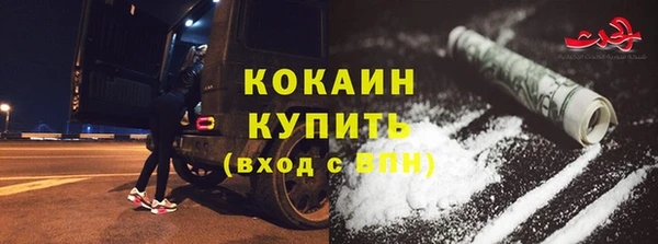 бошки Бородино