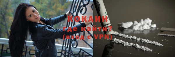 бошки Бородино