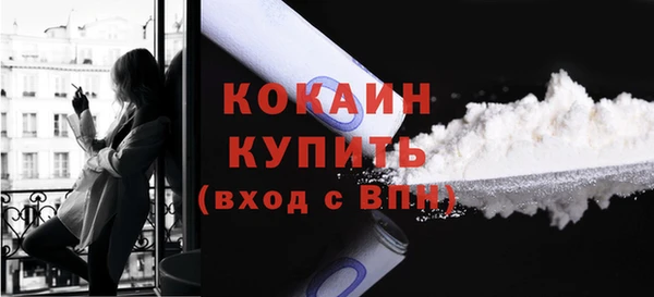 бошки Бородино