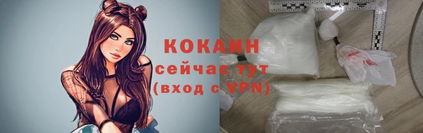 бошки Бронницы