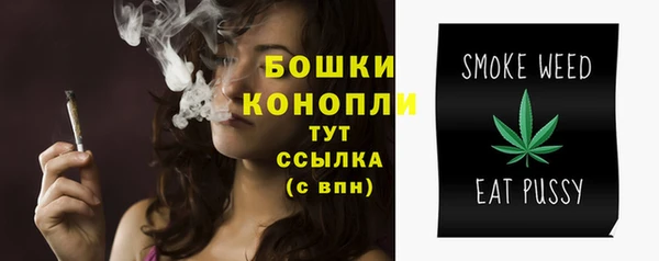 бошки Бронницы