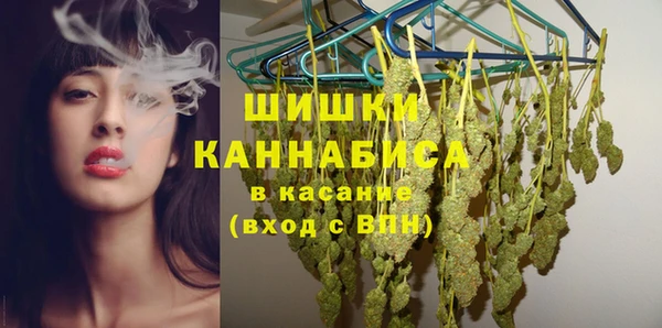 бошки Бородино