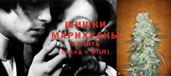 бошки Бородино