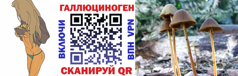 Псилоцибиновые грибы Magic Shrooms  где найти наркотики  kraken рабочий сайт  Буинск 